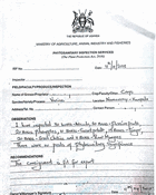 Phytosanitary Inspection report